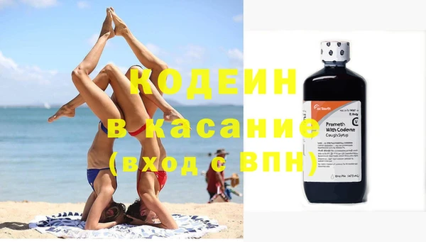 индика Семилуки